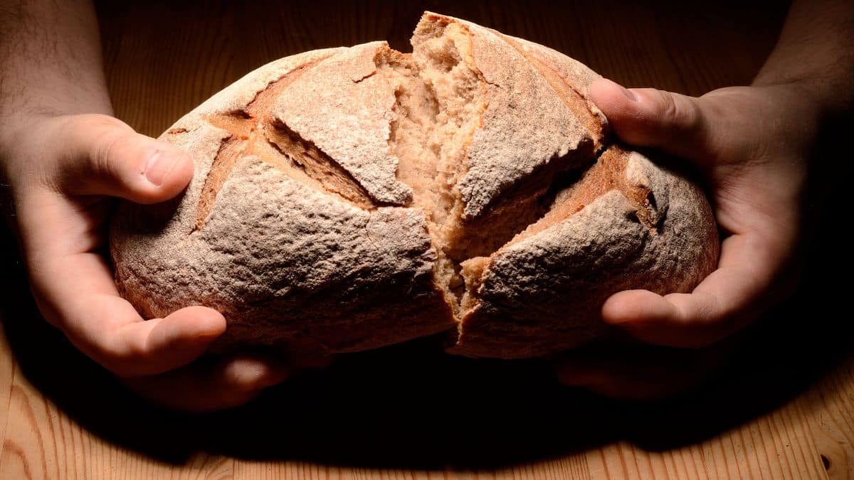 Person holding a loaf of bread.