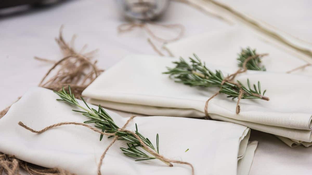 Cloth napkins on a dining table.