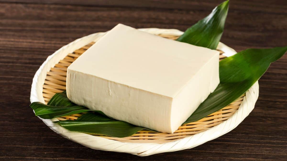 A block of tofu on a plate.