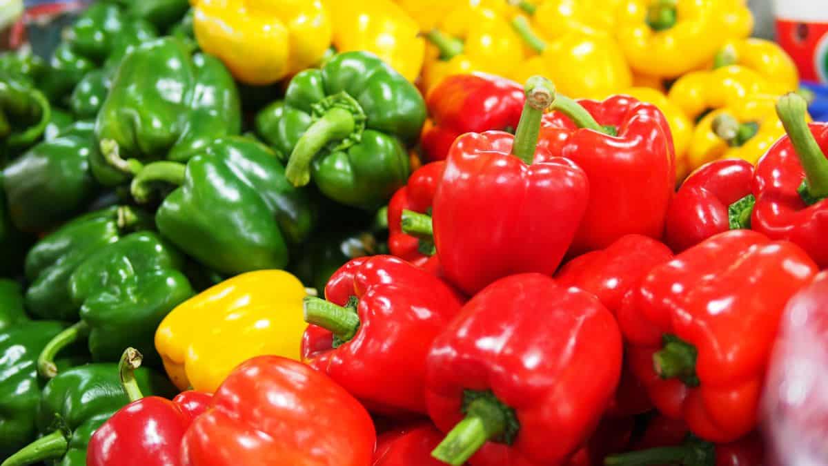 Different colors of bell peppers.