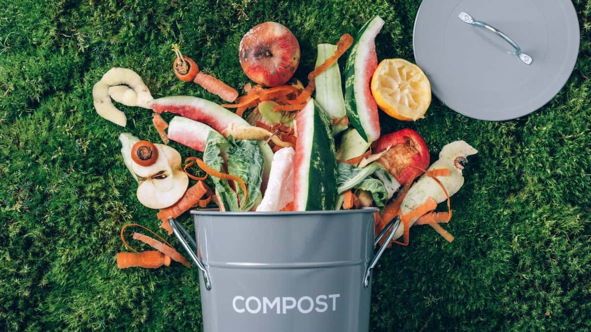 Compost bin on a garden bed.