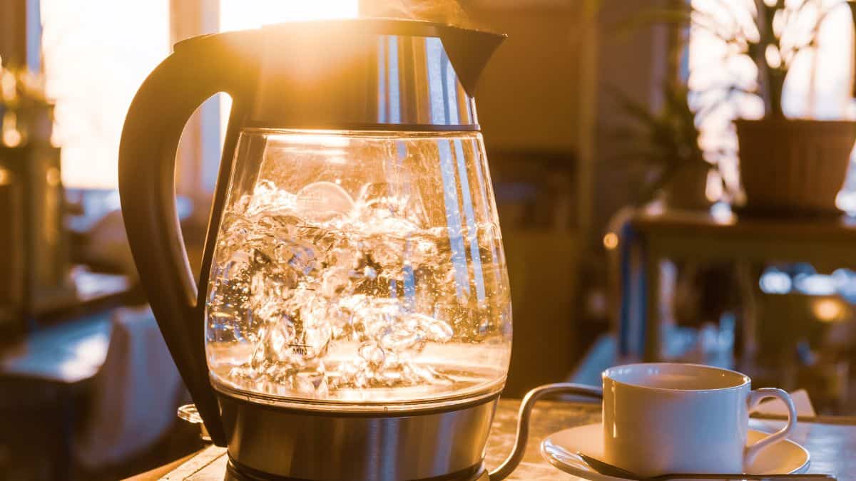 Electric kettle with water boiling in it.