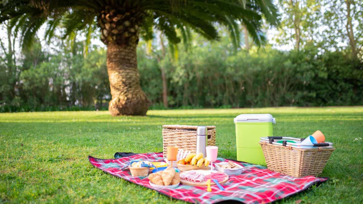 Picnic basket on a picnic blanket.