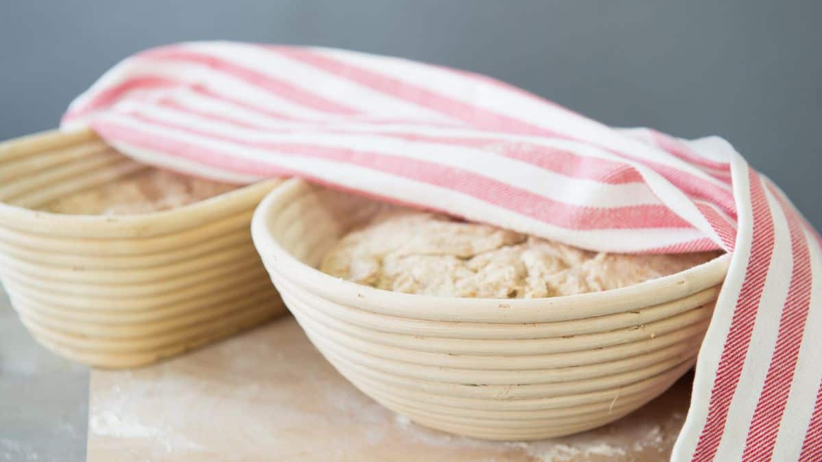 Dough proofing in bannetons.