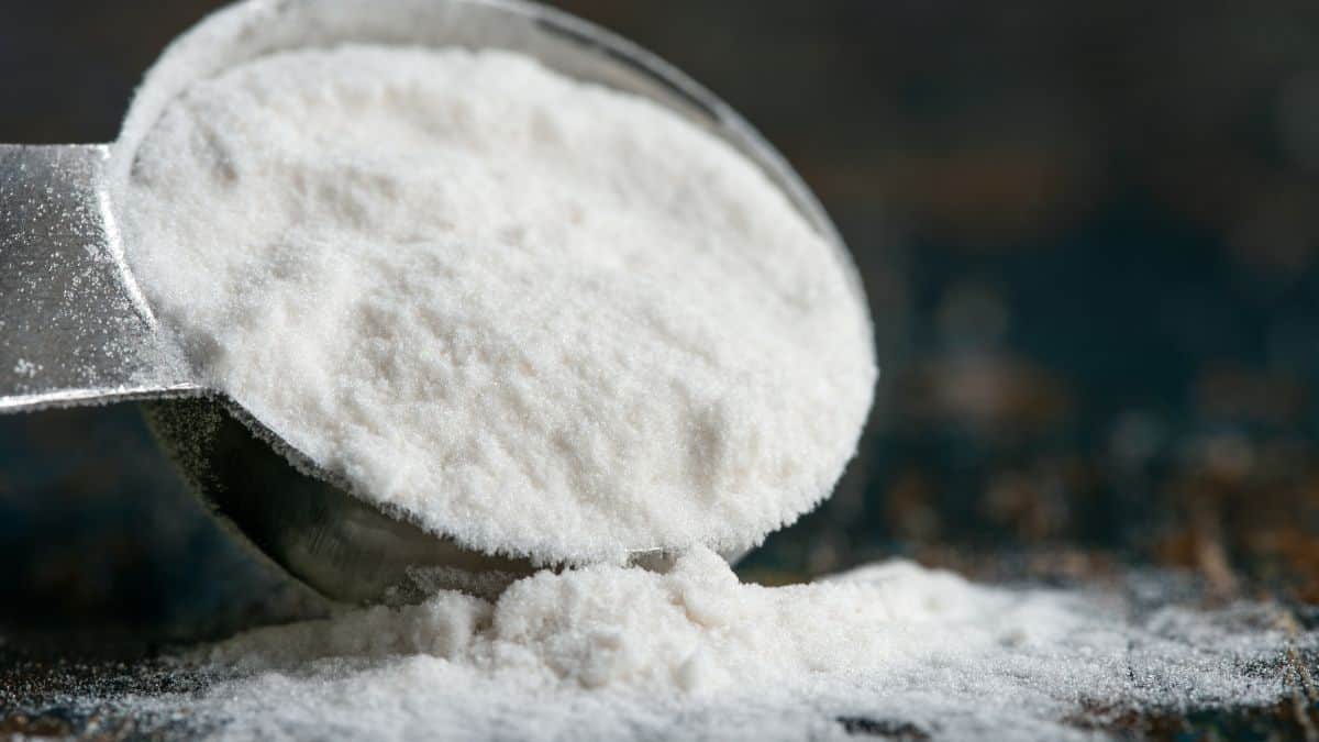 Arrowroot powder in a measuring spoon.