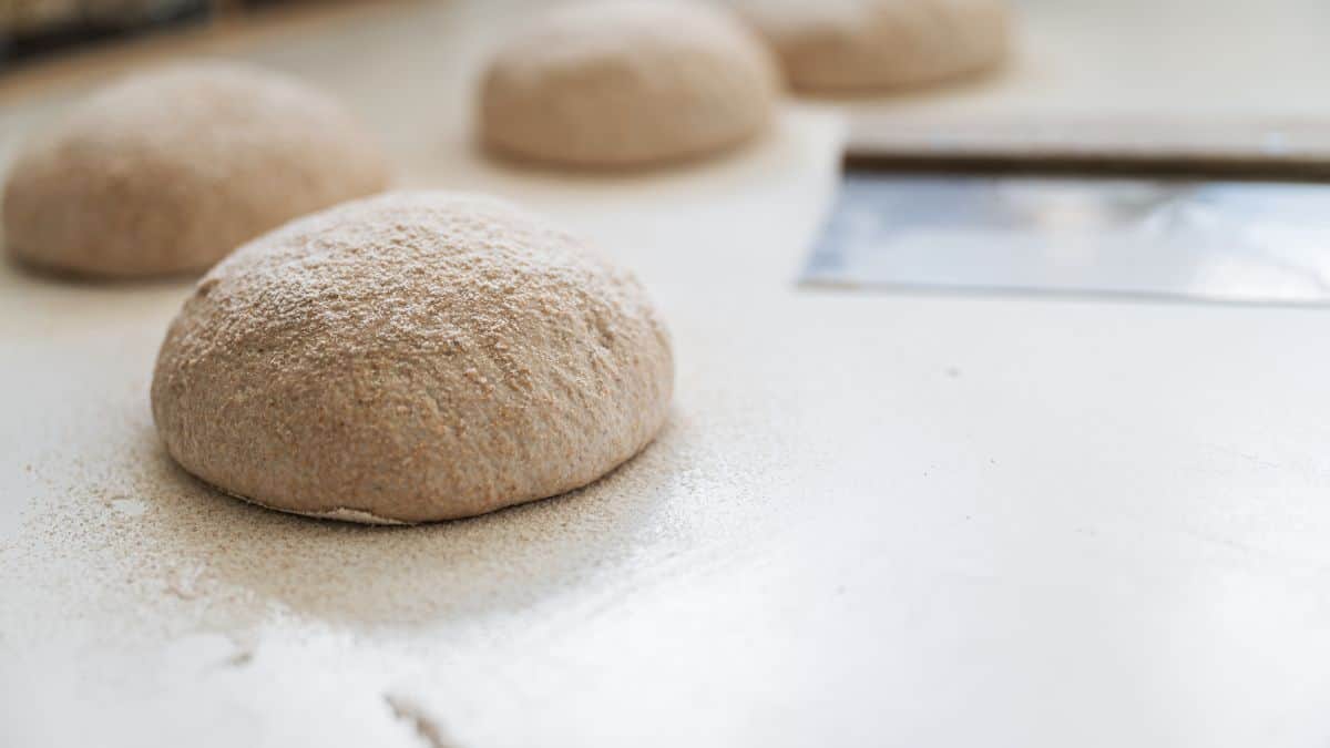 Dough resting on the kitchen counter.