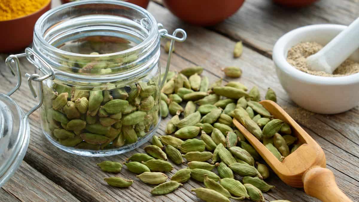 Cardamom pods in a glass jar.