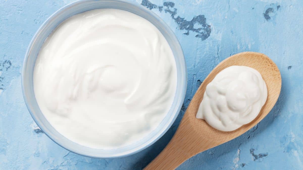 A bowl of sour cream on a blue board.