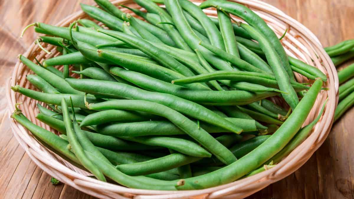 Green beans in a vegetable basket.