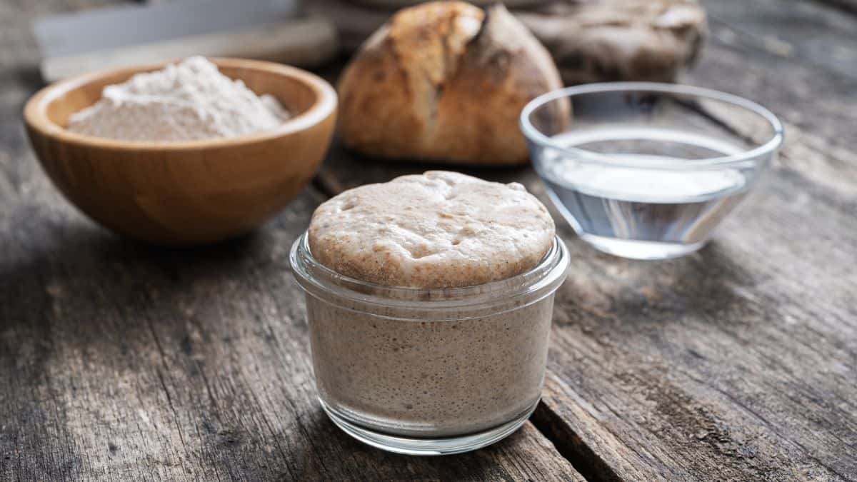 Sourdough starter in a jar.