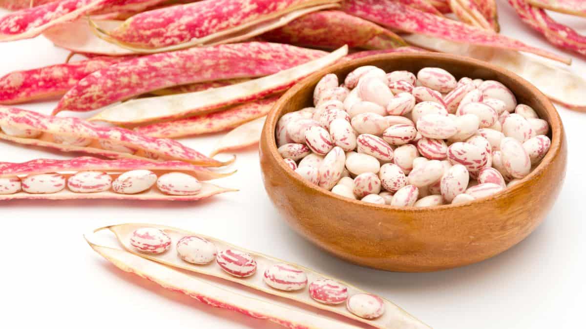 Borlotti beans in a brown bowl with pods in the background.