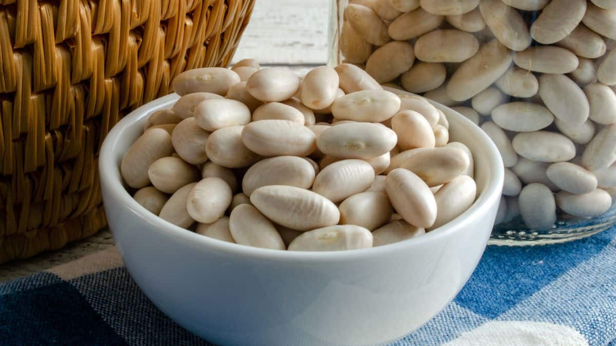 Cannellini beans in a white bowl.