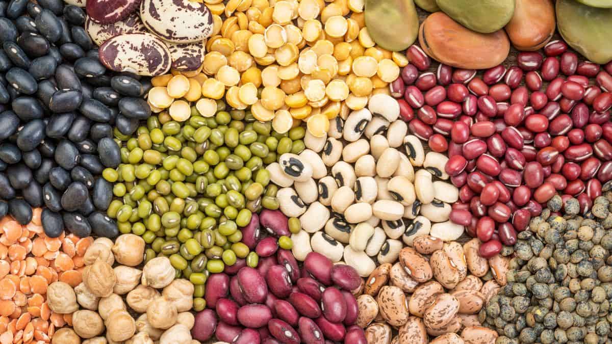 Collection of different bean varieties.