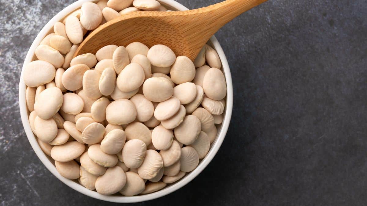 Lima beans in a bowl with a wooden spoon.