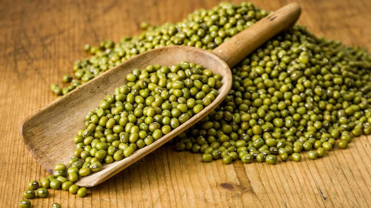 Mung beans on a board with a wooden handle.