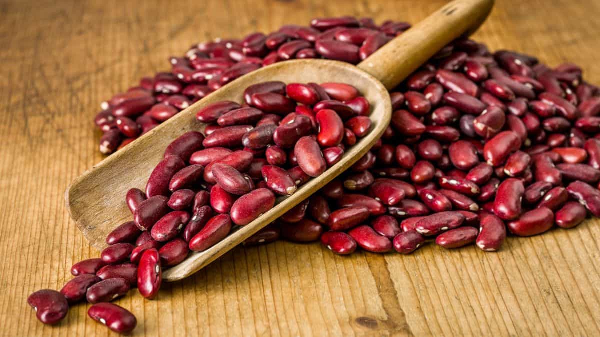 Red kidney beans on a board and on a spoon.