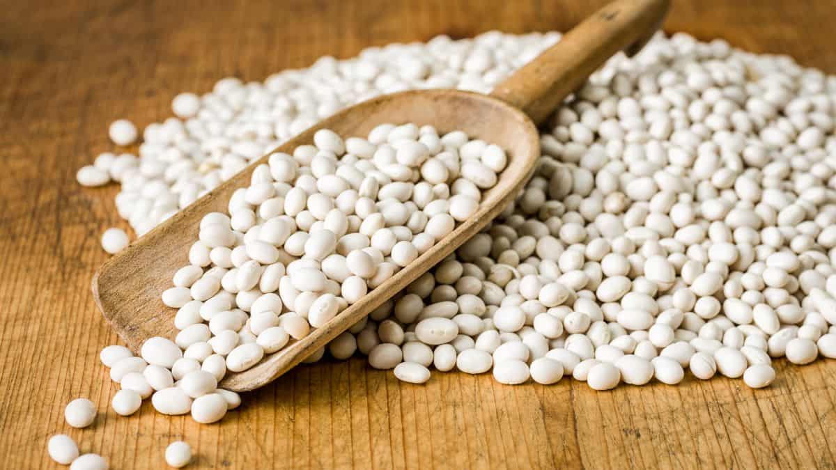 White beans on a board and on a wooden spoon.