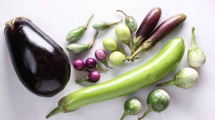 Various types of eggplant on a white surface.