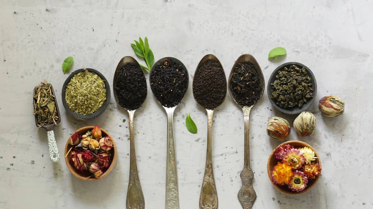 Various types to tea on a white surface.