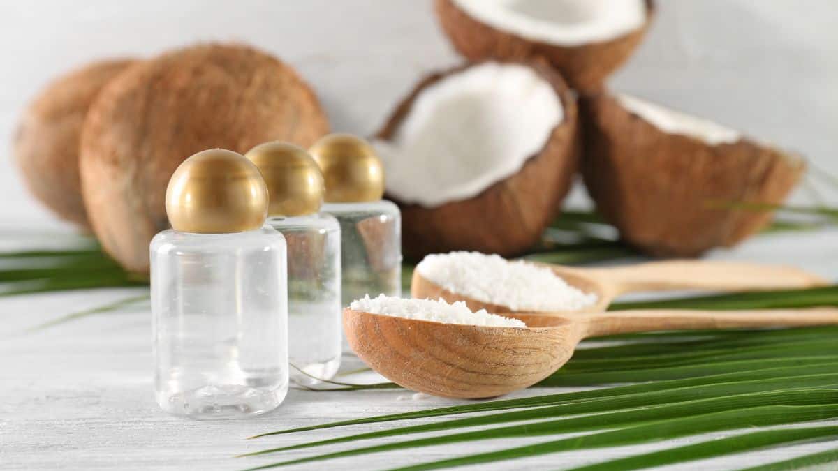 Coconut vinegar in small bottles.