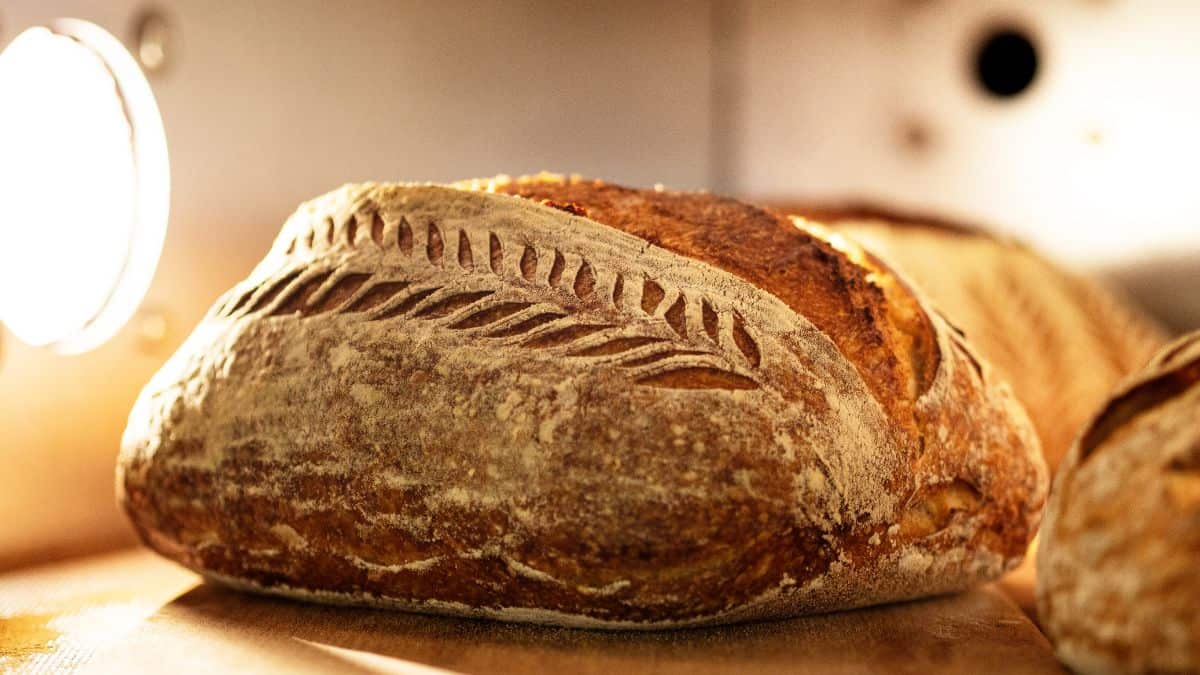 Bread being baked in an oven.