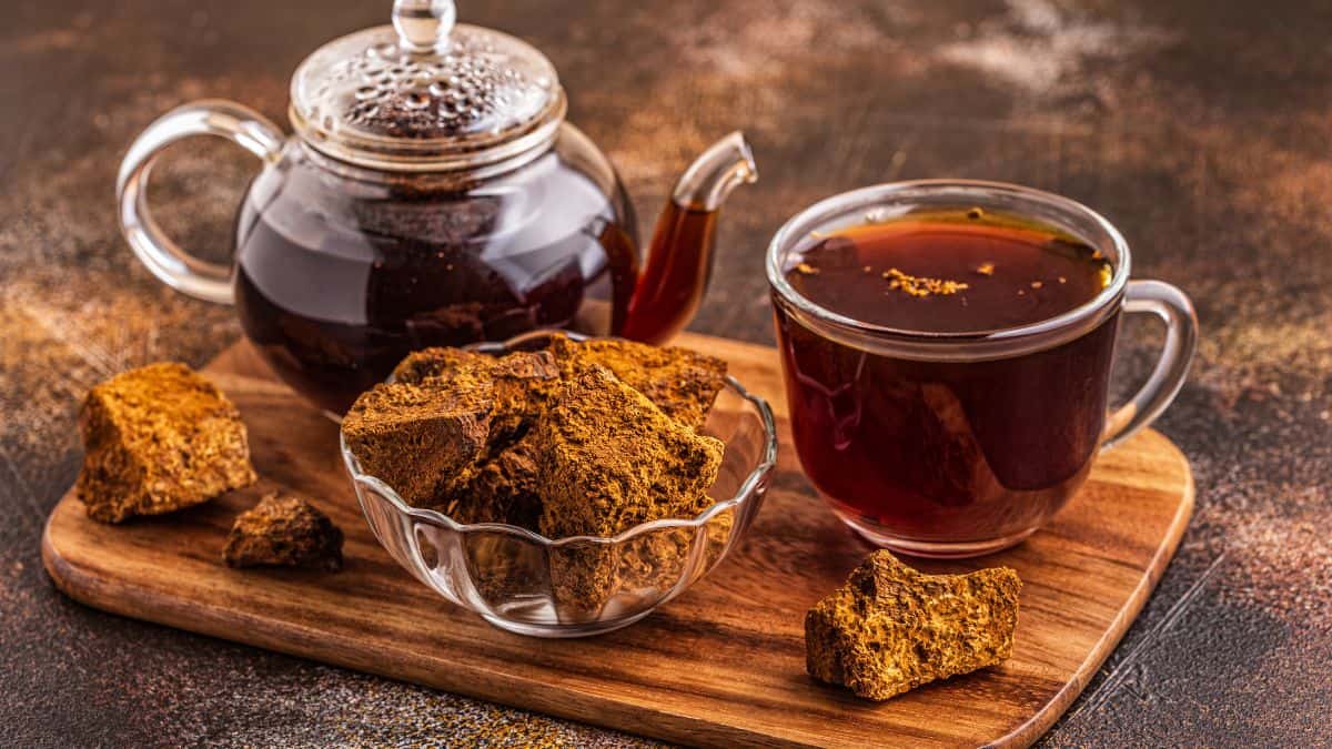 Russian chaga tea with chaga mushrooms.