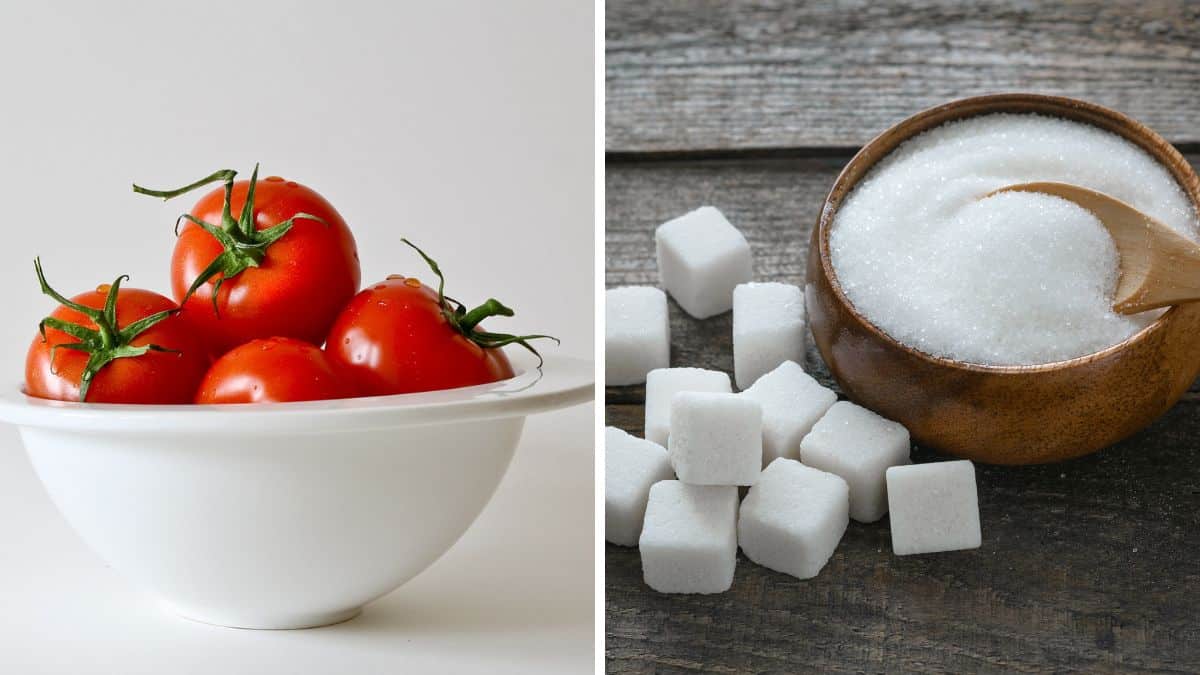 Collage of tomato and sugar.