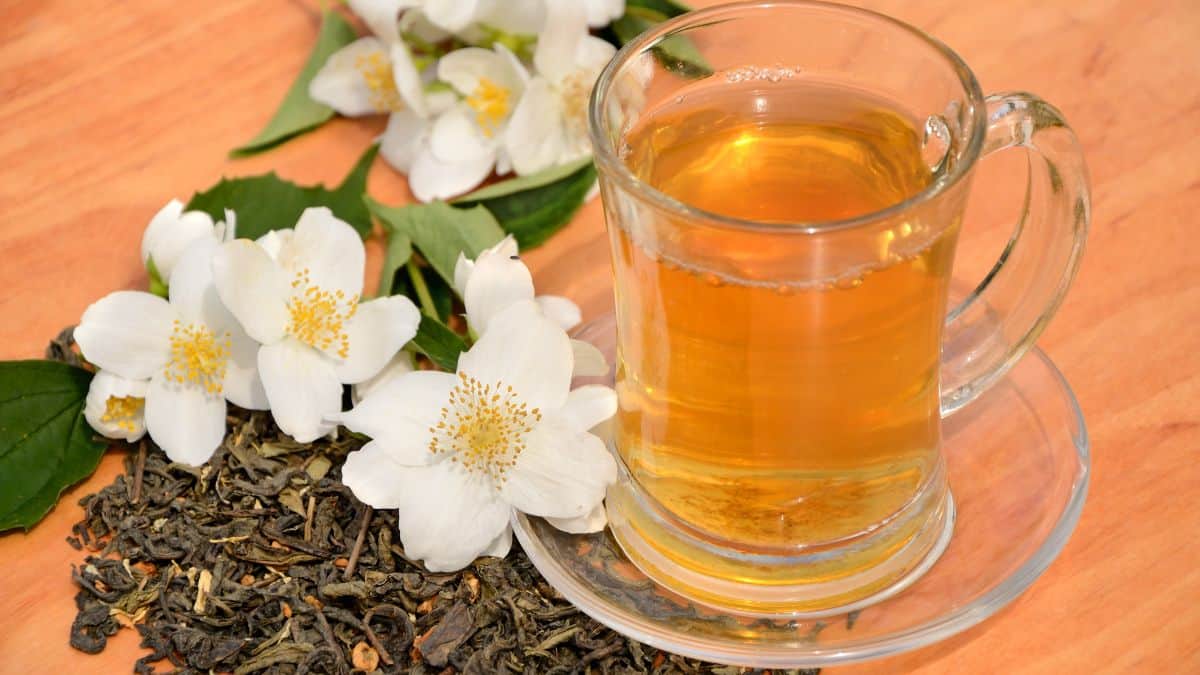 Jasmine tea in a cup.