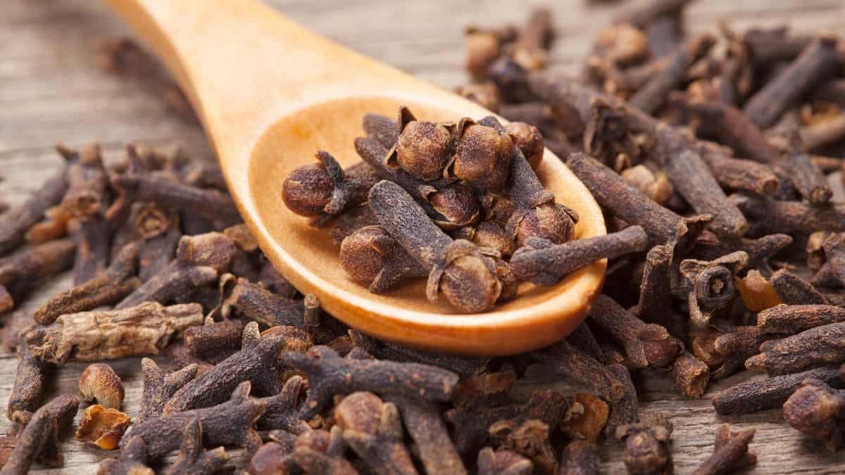 Cloves on a wooden spoon.