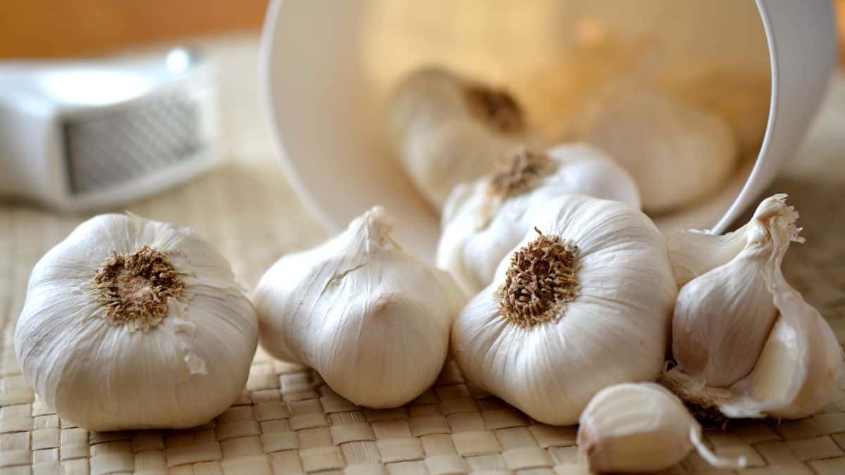 Garlic pods on a table.