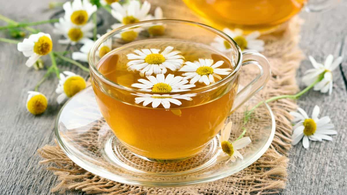 Chamomile tea in a cup with chamomile flowers in the background.