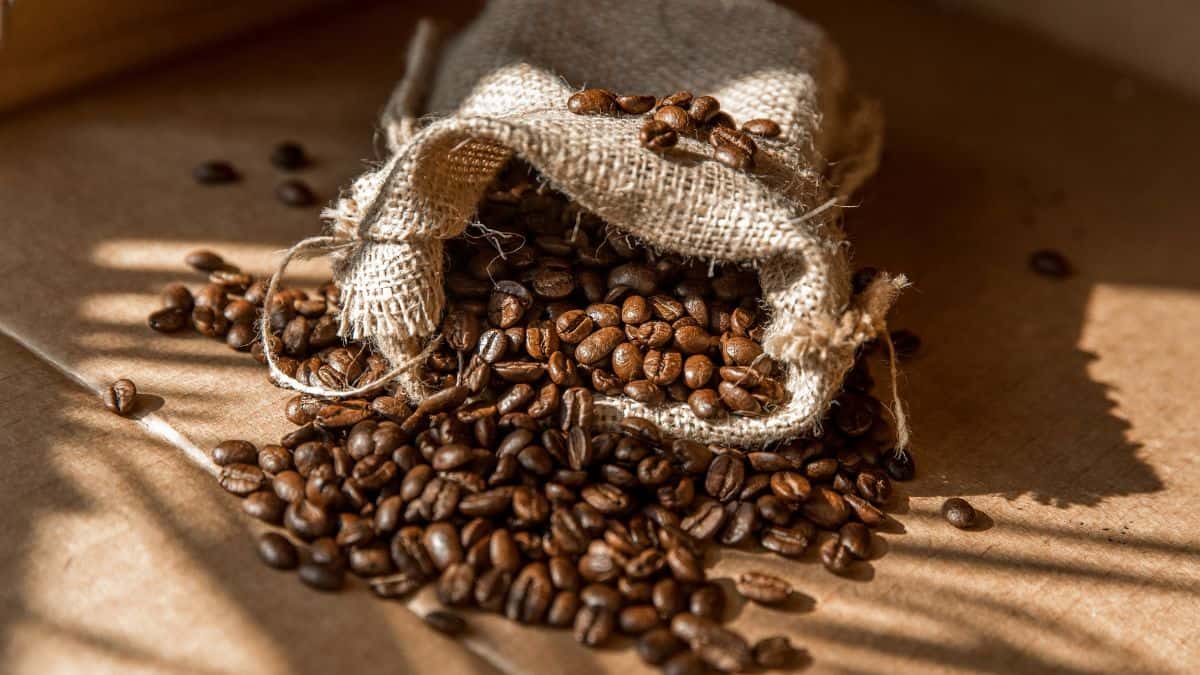 Coffee beans in a jute bag.