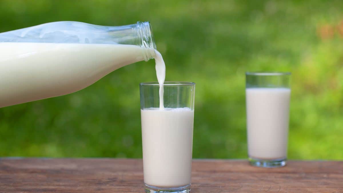 Pouring milk into a glass.