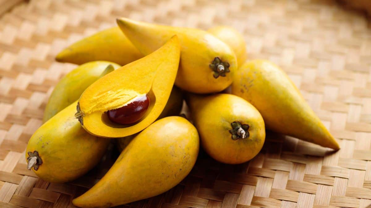 Eggfruits placed on a wooden mat.