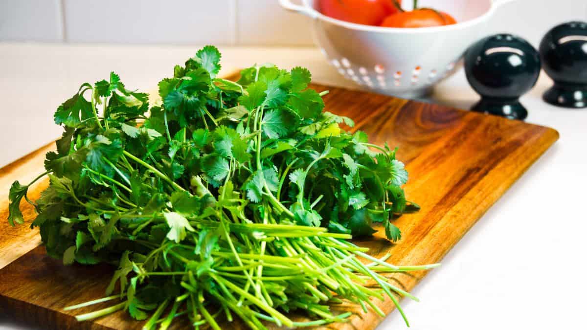 Cilantro on a wooden board.