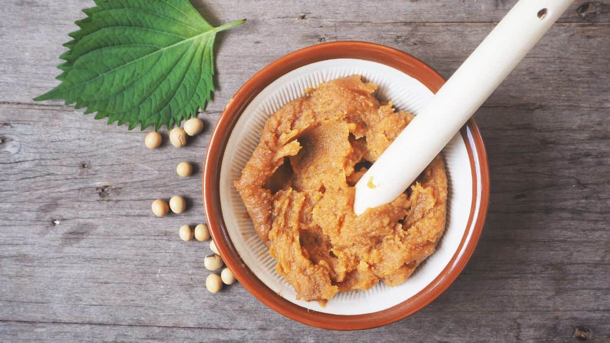 Miso paste in a white bowl.