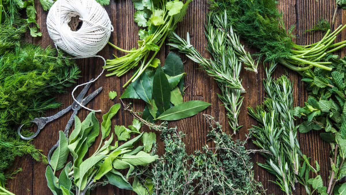 Various herbs on a wooden board.