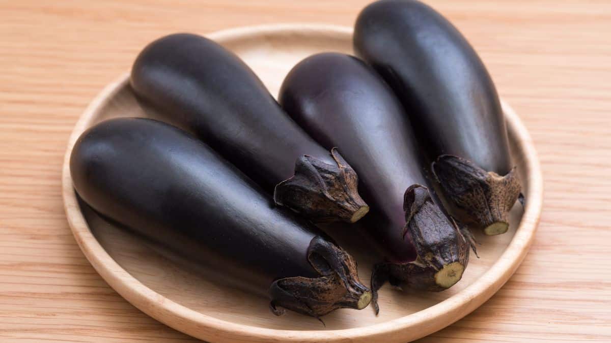 Japanese eggplant on a brown plate.