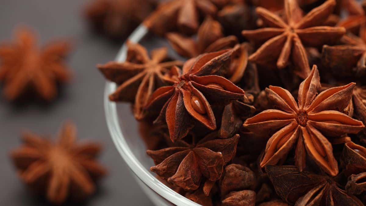 Close up of star anise in a white bowl.