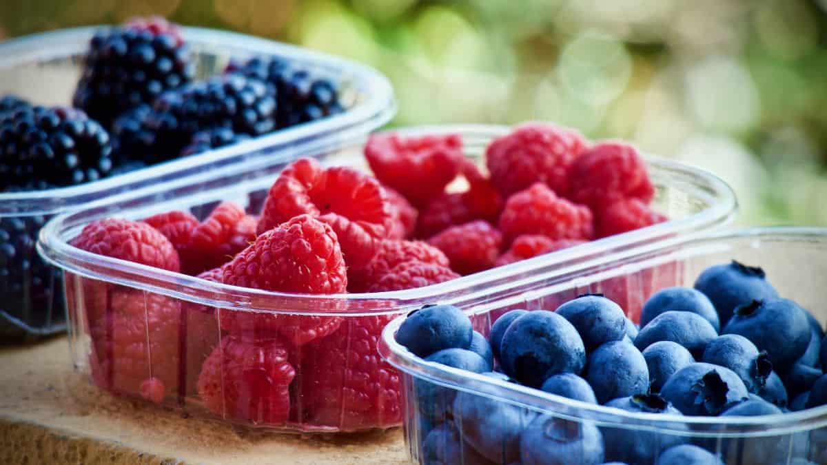 Different types of berries in containers.