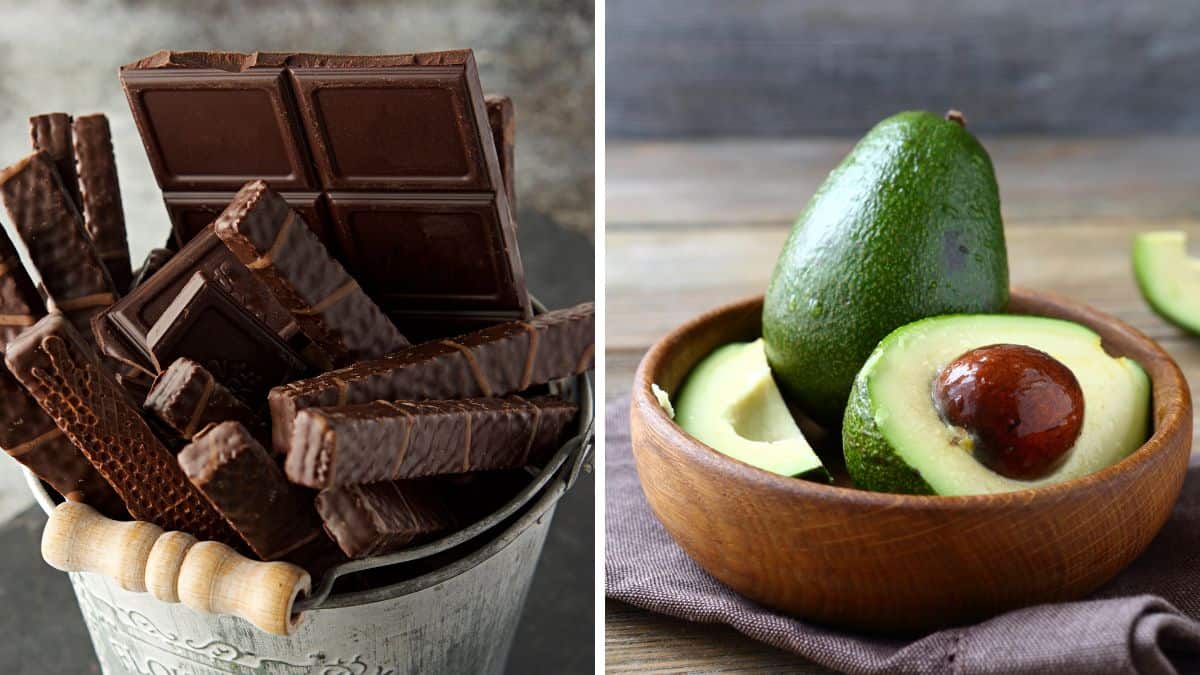 Collage of chocolate and avocado.