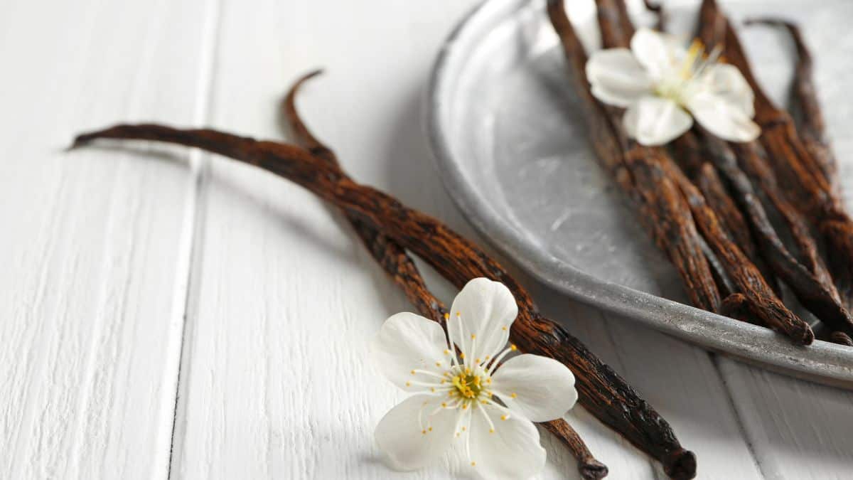 Vanilla pods on a grey plate.