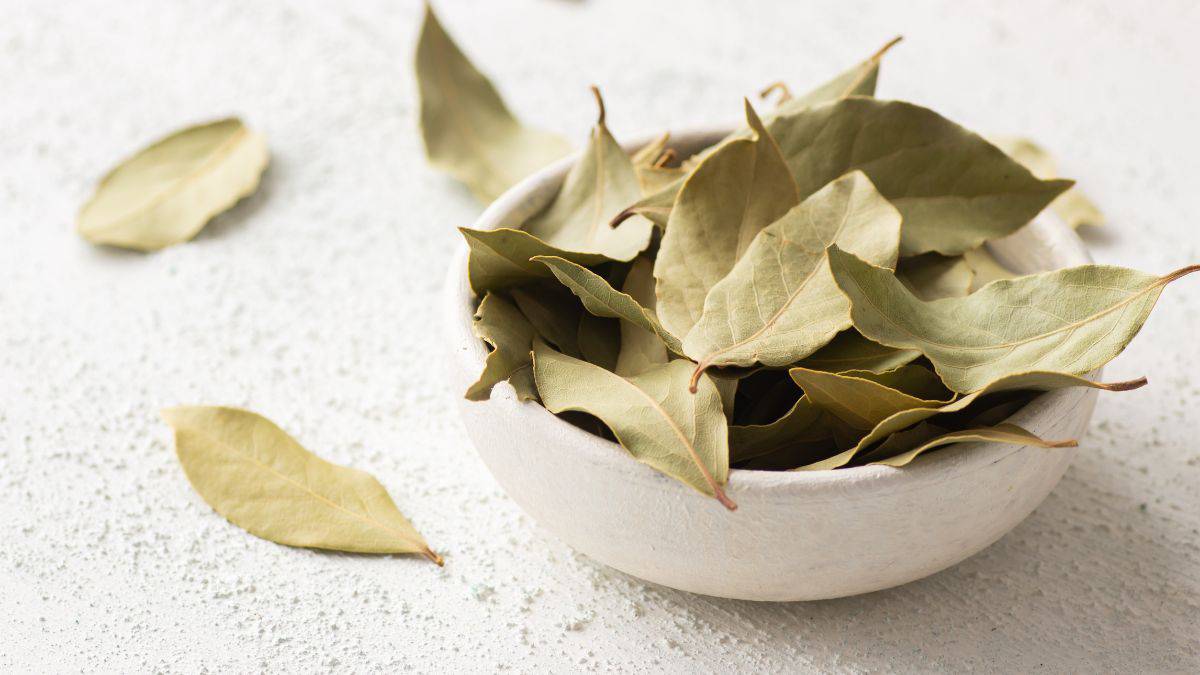 Bay leaves in a white bowl.