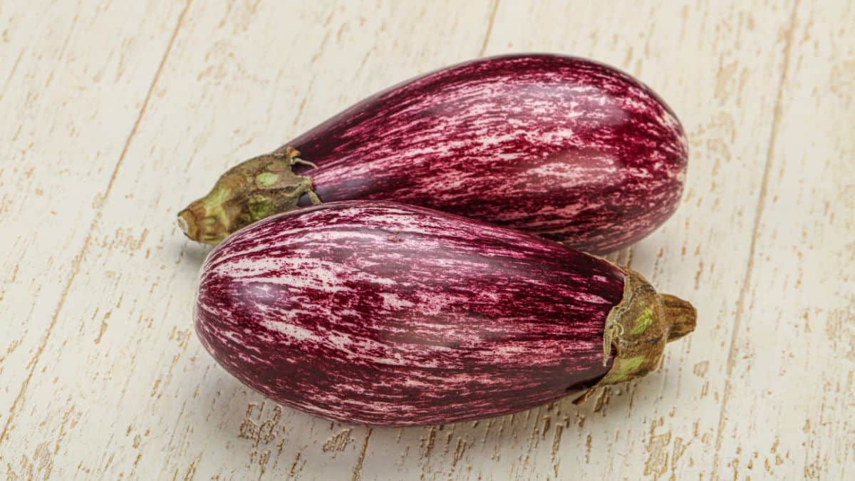 Graffiti eggplants on a wooden surface.