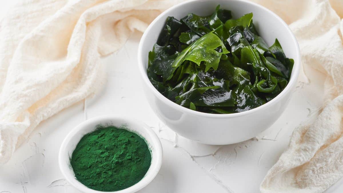 Spirulina powder and leaves in two white bowl.s