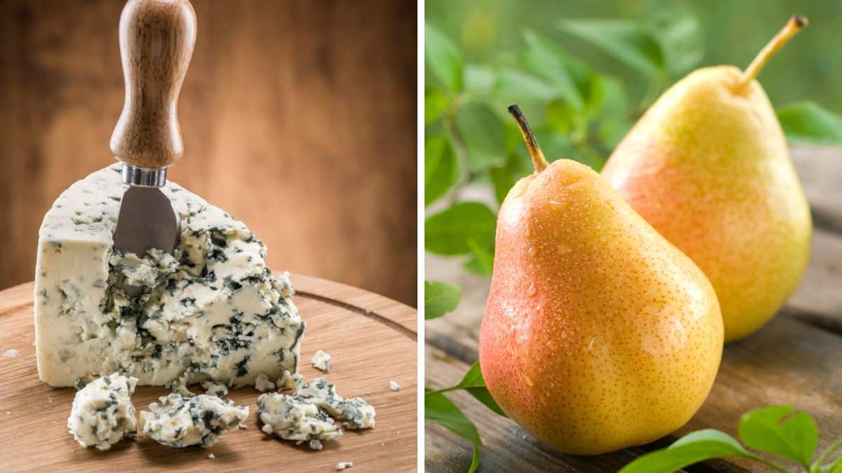 Collage of blue cheese and pear.