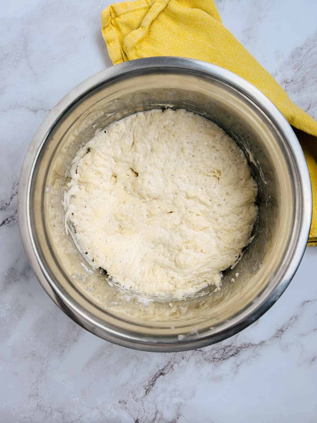 Dough after the first rise.