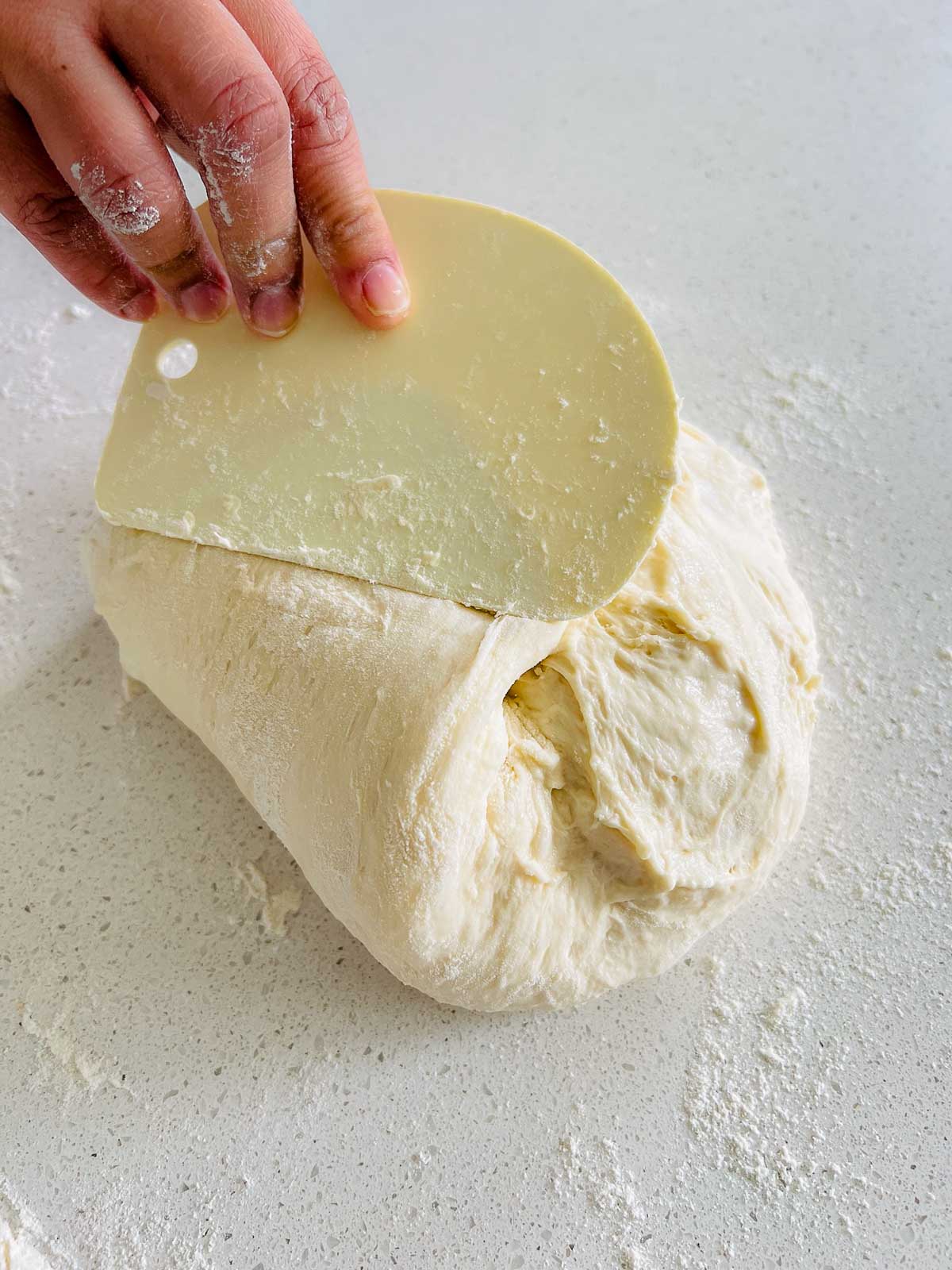 Dough on a floured surface for shaping.