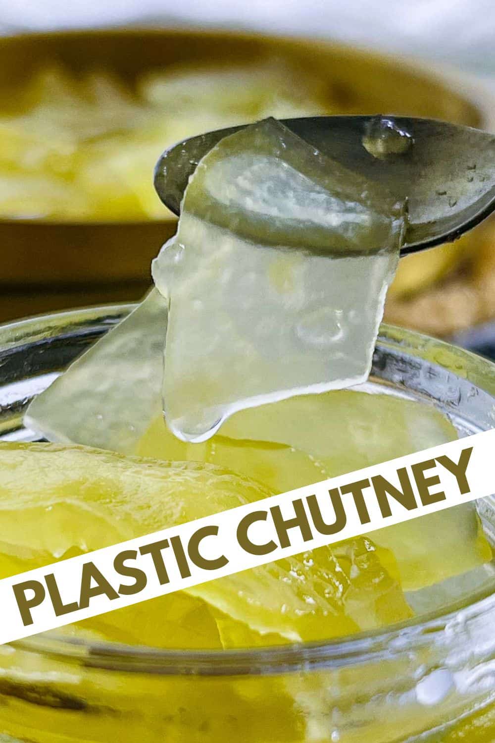 Plastic chutney Pinterest image.