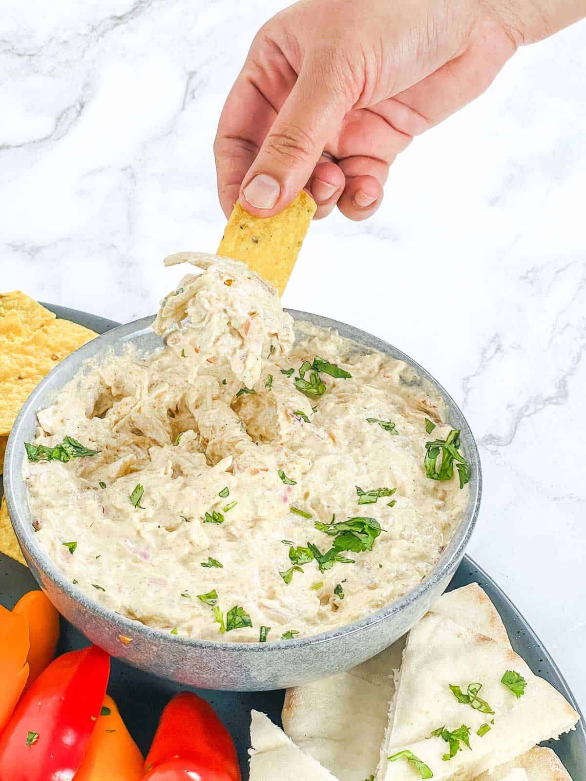 Dipper dipped into tandoori chicken dip.